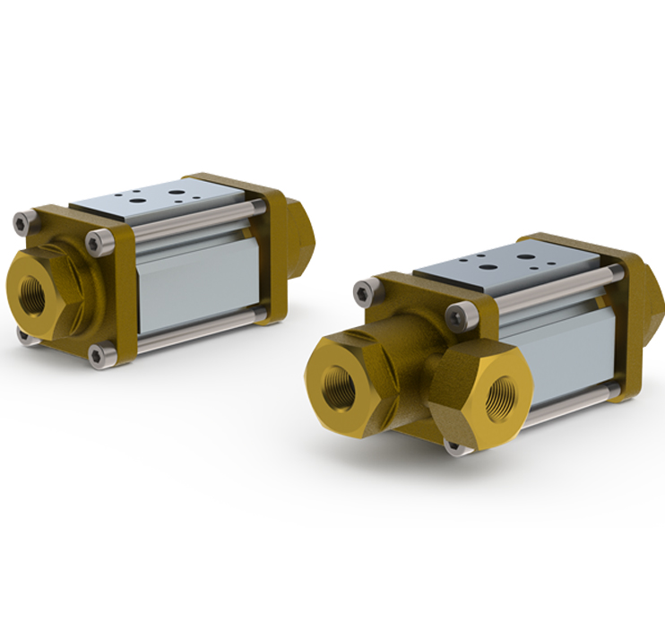 CXD 25 - DN25, PN 40 BAR, 1 NPTF NF/NA 24VDC / 110 VCA